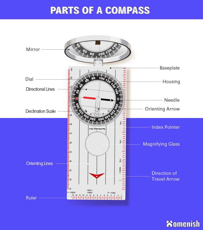 Indentifying Parts Of A Compass With Illustrated Diagram Homenish