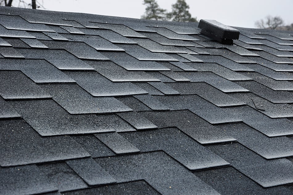 Types of roofs - swapryte