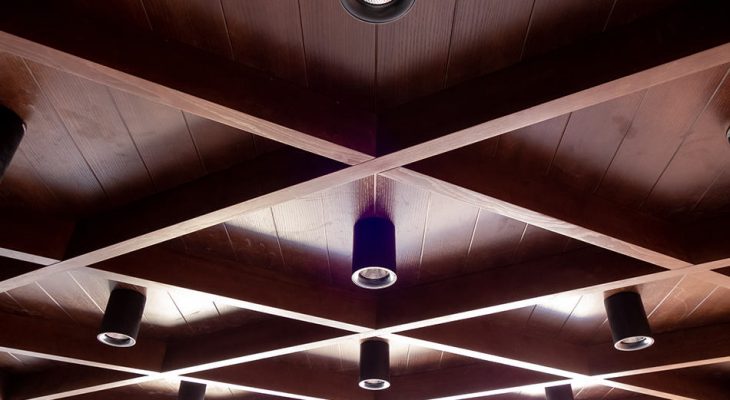 12 Different Types of Ceilings and Their Material Options - Homenish