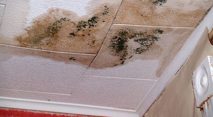 common-causes-of-water-stains-on-ceiling-how-to-fix-them-homenish