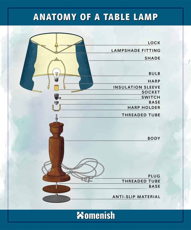 Parts of a Lamp Explained (with Diagram) Homenish