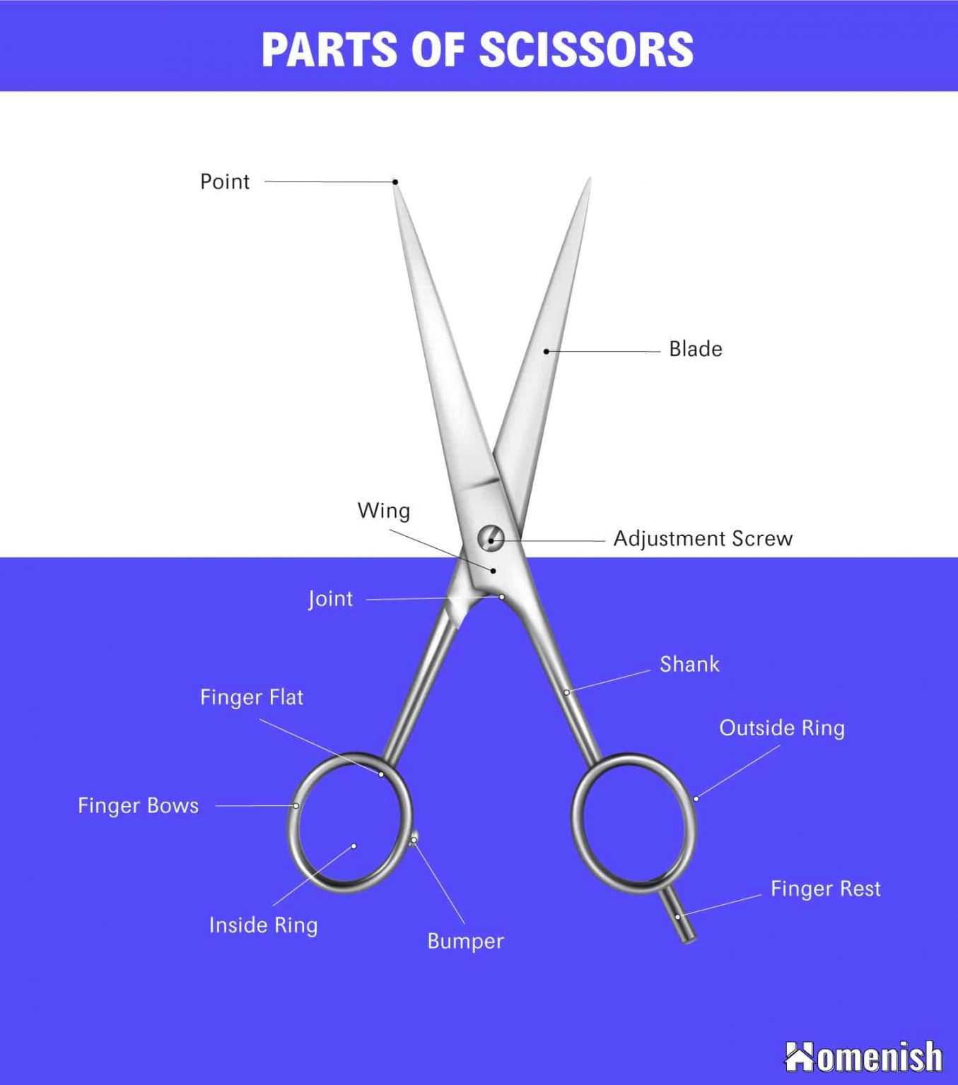 Identifying Parts of Scissors (with Illustrated Diagram) Homenish