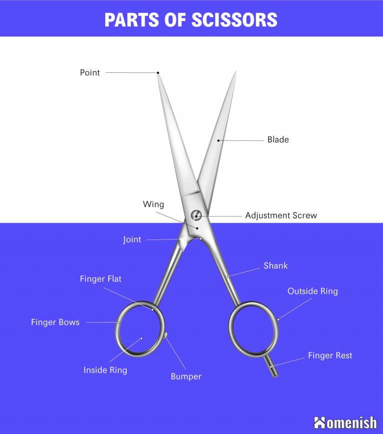 Identifying Parts of Scissors (with Illustrated Diagram) - Homenish