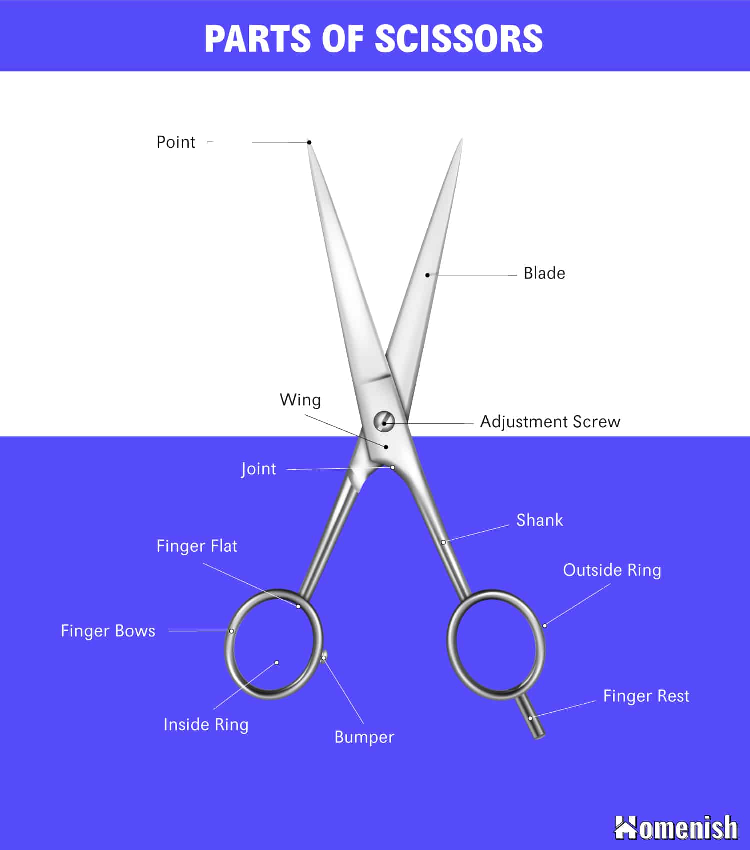 Identifying Parts Of Scissors with Illustrated Diagram Homenish