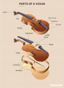 Parts of a Violin (Full Diagram Explored) - Homenish