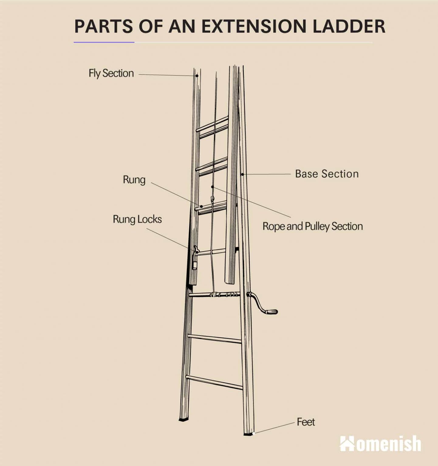 Parts of a Ladder (2 Diagrams For Step Ladder & Extension Ladder ...