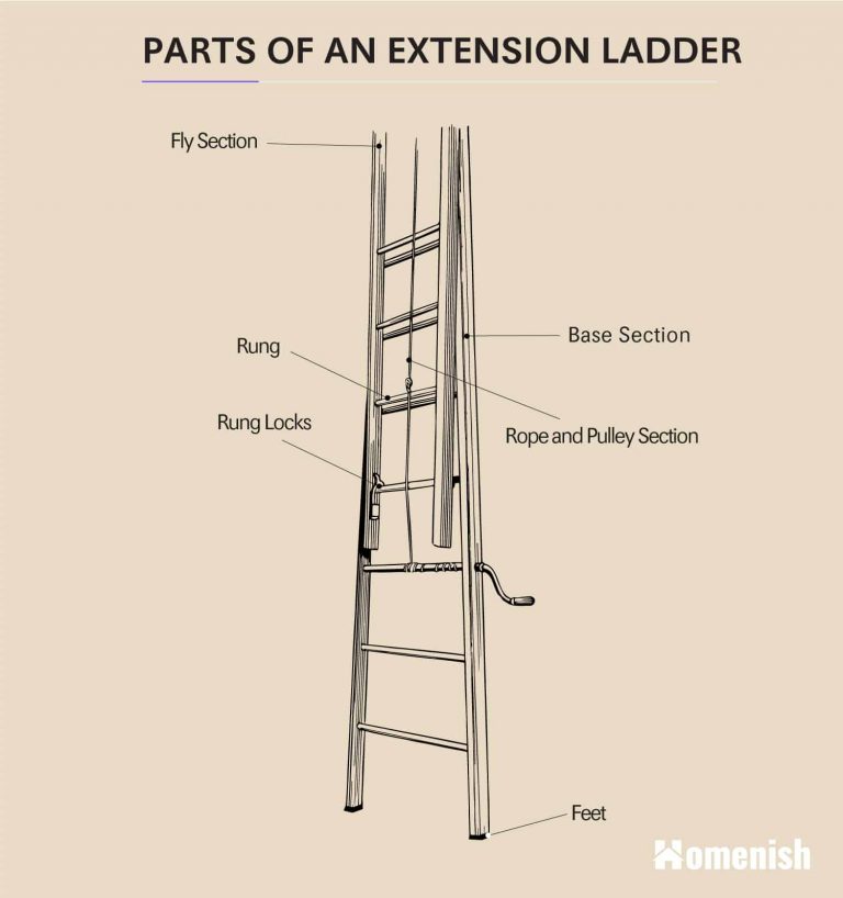 Parts of a Ladder (2 Diagrams For Step Ladder & Extension Ladder