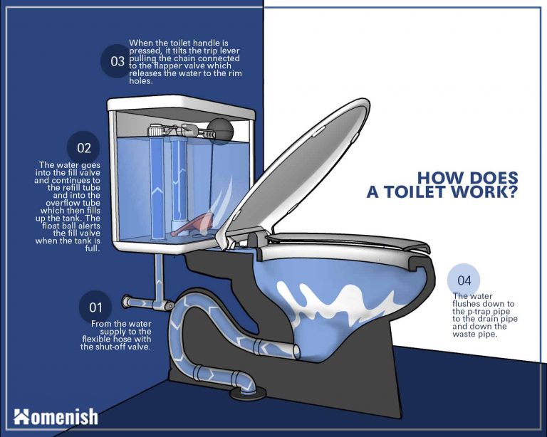 Parts of a Toilet and How It Works (3 Detailed Diagrams) Homenish