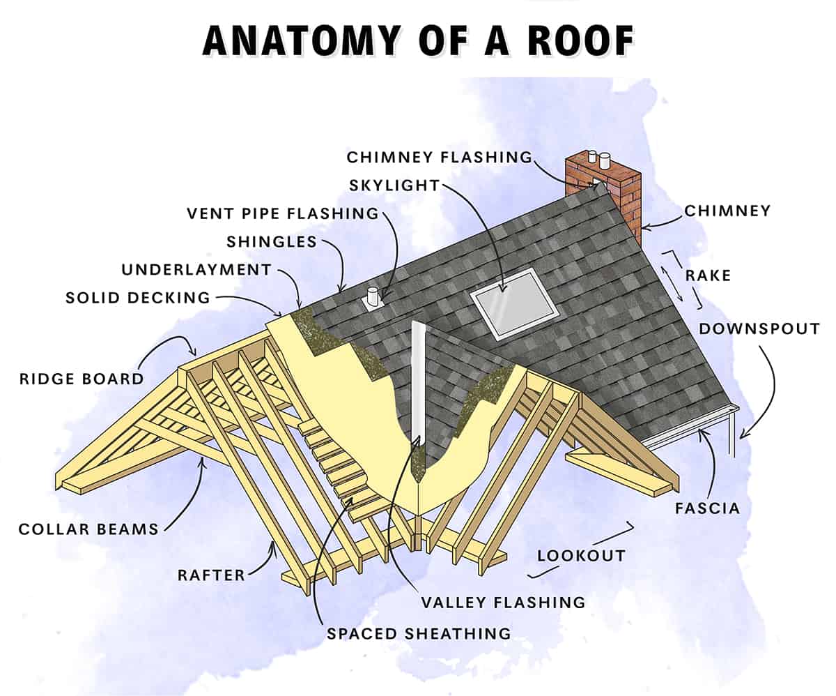39 Parts Of A Roof Truss With Illustrated Diagrams Definitions - Vrogue