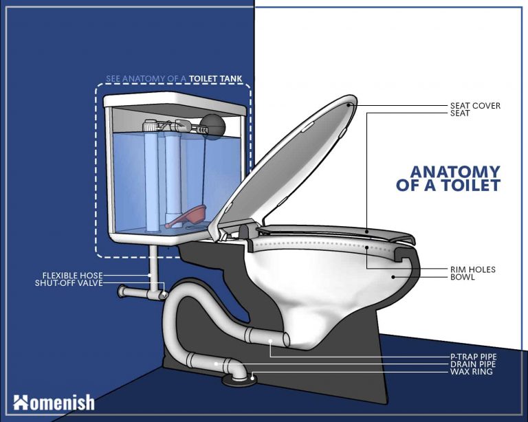 Parts of a Toilet and How It Works (3 Detailed Diagrams) Homenish