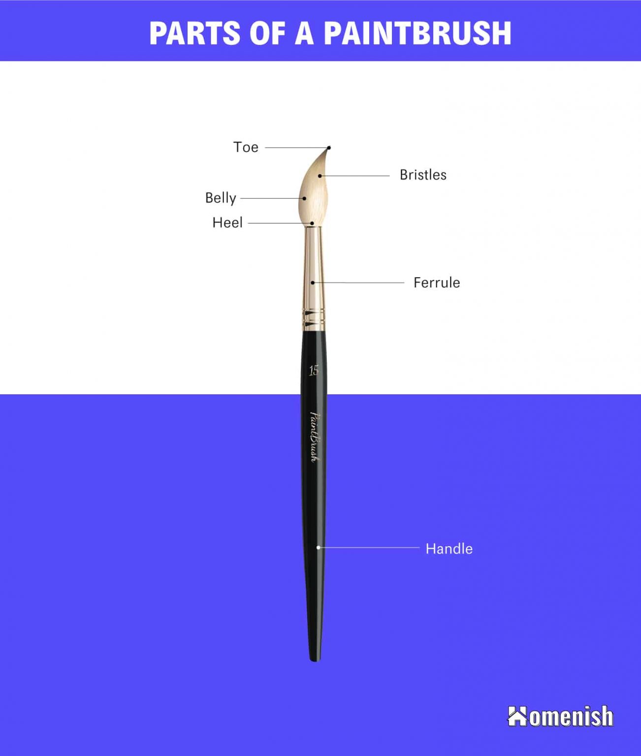 6 Parts of a Paintbrush (Diagram Included) Homenish