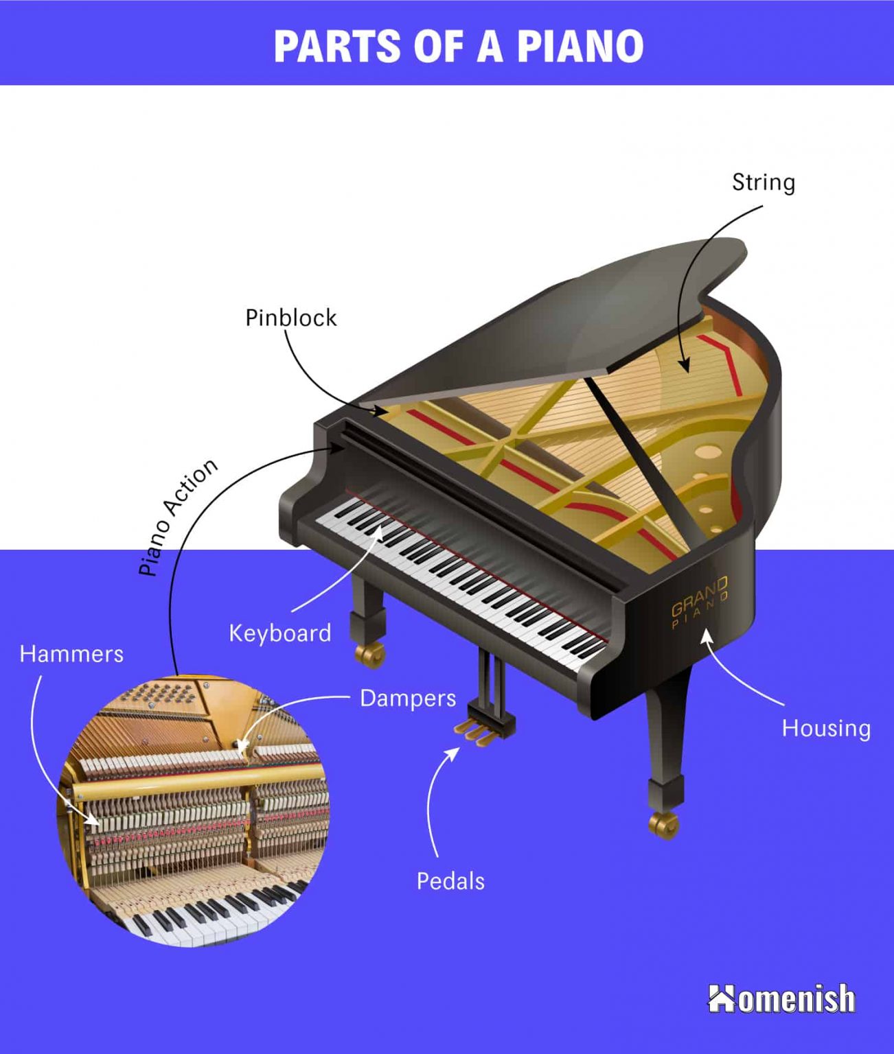 Parts of a Piano Explained with Illustrated Diagram - Homenish