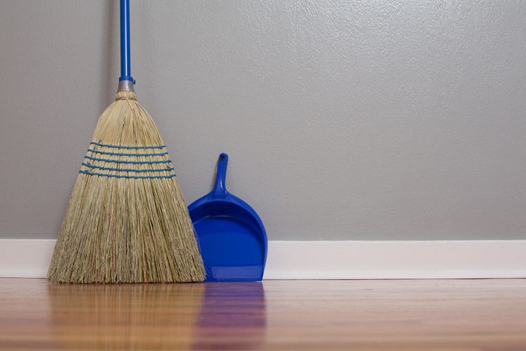 19 Different Types Of Brooms (Uses, Materials, Broom Bristles ...