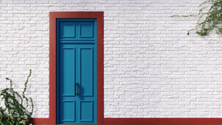 11 Stunning Front Door Colors for a White House - Homenish