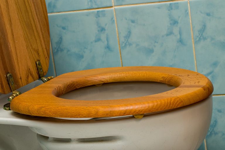 different-types-of-toilet-seats-from-shape-to-material-and-beyond