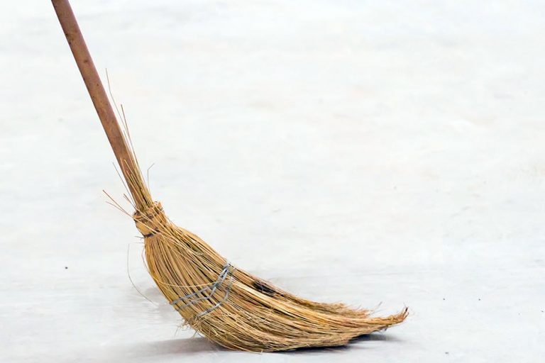 19 Different Types Of Brooms (Uses, Materials, Broom Bristles ...