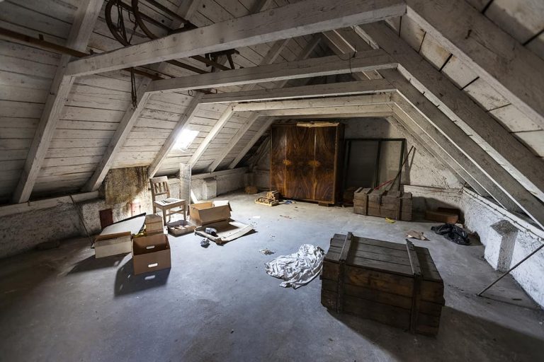 5 Types of Attics Explained (with Pictures) Homenish