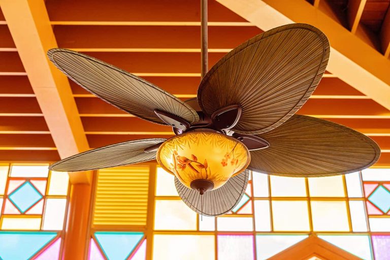 What Color Ceiling Fan Should You Get (Photos Included)? - Homenish