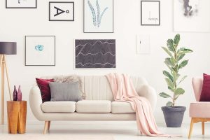 8 Excellent Colors that Go with Peach (with Pictures) - Homenish