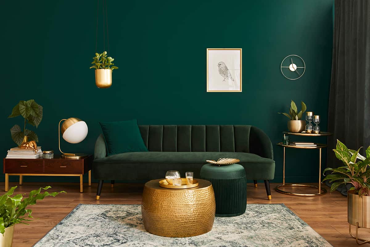 Decorate Whole Bedroom Colors Green Walls Grey Carpet