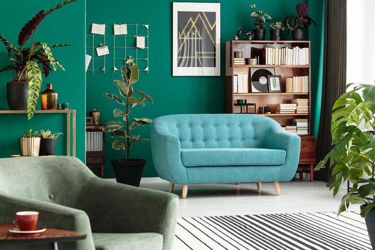 7 Excellent Colors that Go Well with Dark Green - Homenish