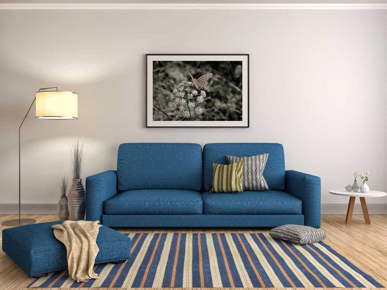 What Color Walls Work Best With Blue Furniture? - Homenish