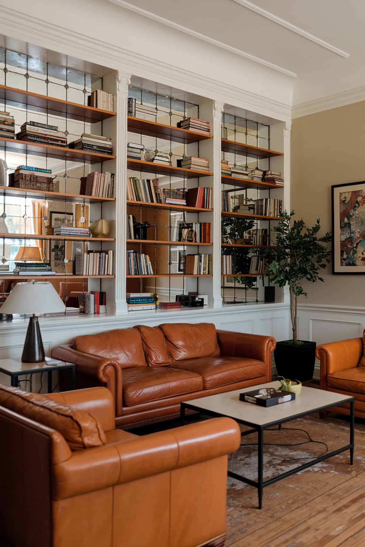 Bookshelves with Mirrored Backing